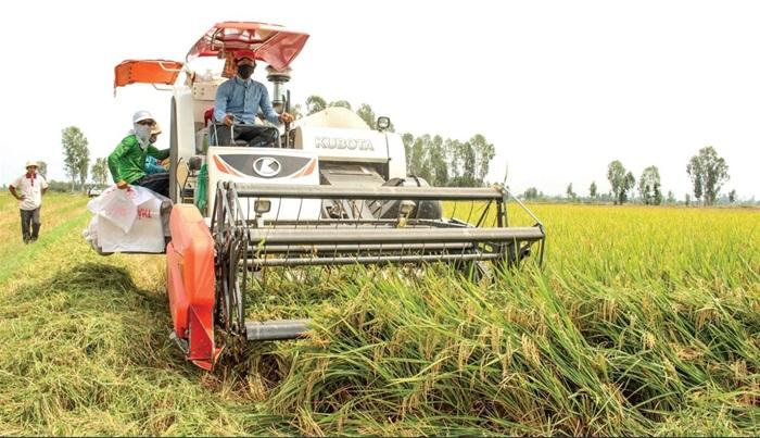 Ứng dụng máy cày giúp nông dân thu hoạch nhanh chóng